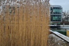 264747561_2097257987093450_5692728914366754842_n